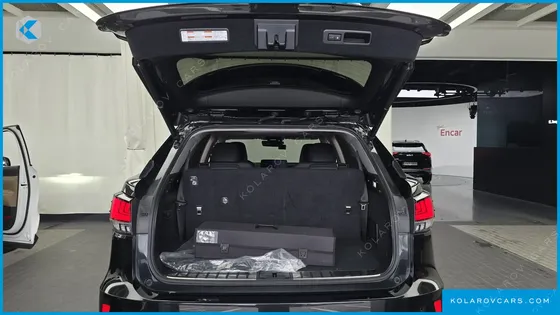 LEXUS RX EXECUTIVE