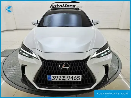 LEXUS NX LUXURY