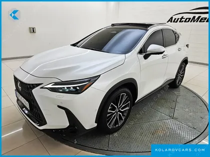LEXUS NX LUXURY
