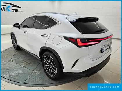 LEXUS NX LUXURY