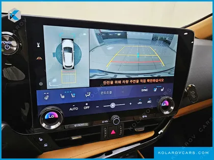 LEXUS NX LUXURY