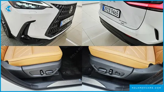 LEXUS NX LUXURY