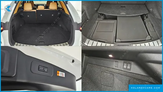 LEXUS NX LUXURY
