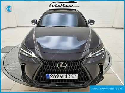 LEXUS NX LUXURY