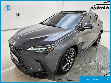 LEXUS NX LUXURY