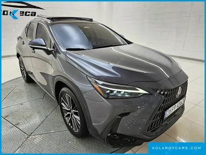 LEXUS NX LUXURY