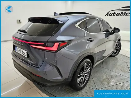 LEXUS NX LUXURY