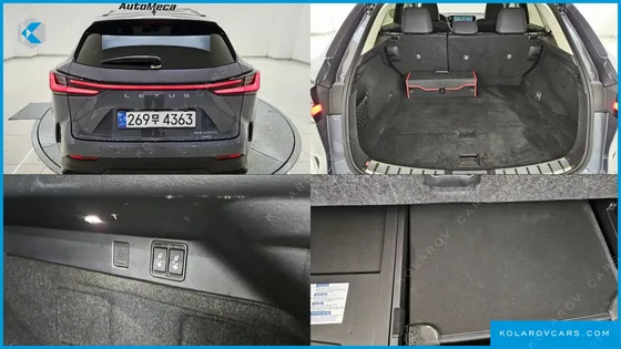 LEXUS NX LUXURY