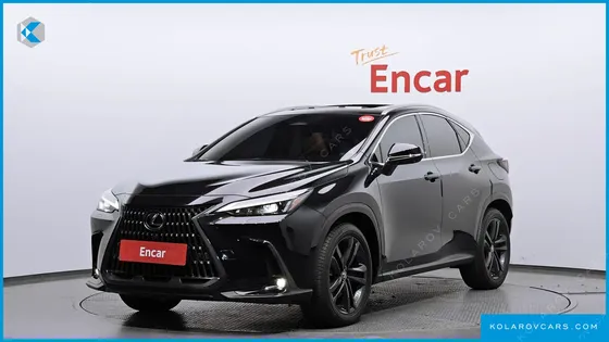 LEXUS NX PREMIUM