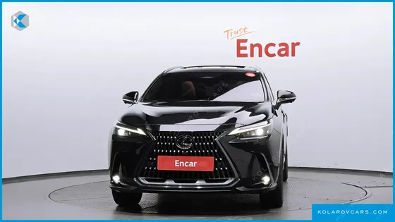 LEXUS NX PREMIUM