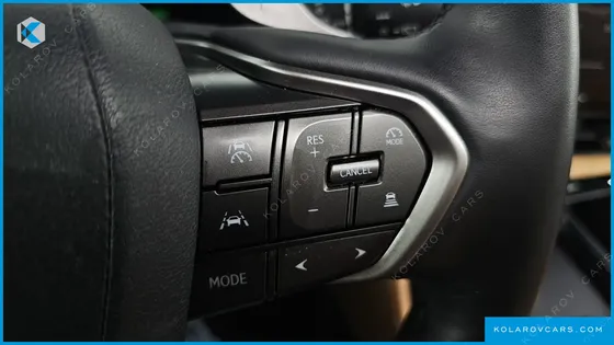 LEXUS NX PREMIUM