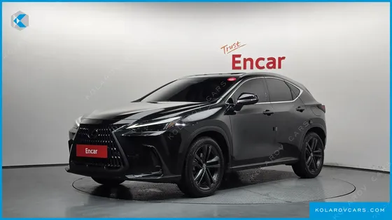 LEXUS NX PREMIUM
