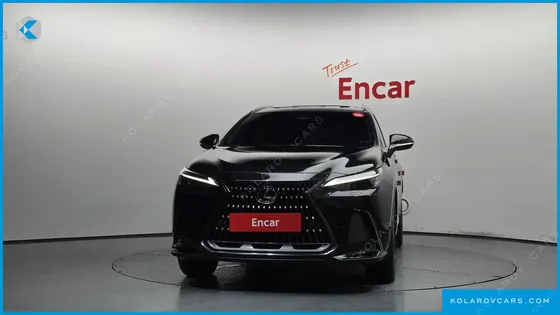 LEXUS NX PREMIUM