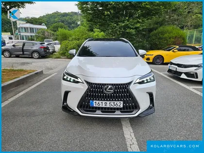 LEXUS NX LUXURY