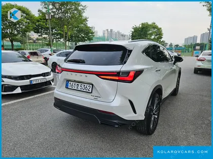 LEXUS NX LUXURY