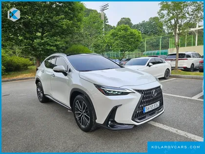 LEXUS NX LUXURY