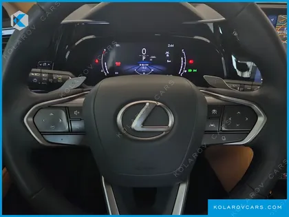 LEXUS NX LUXURY