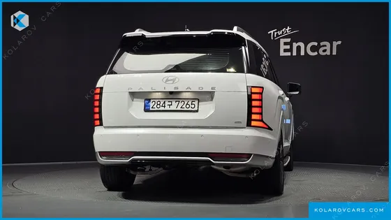 HYUNDAI PALISADE HEV 2.5T 4WD 9-SEATER