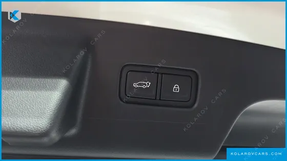 HYUNDAI PALISADE GASOLINE 2.5T 4WD 9-SEATER