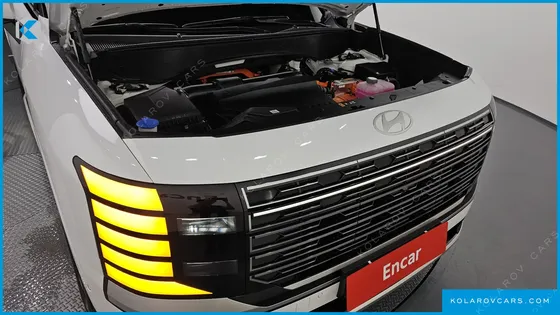 HYUNDAI PALISADE HEV 2.5T 4WD 9-SEATER