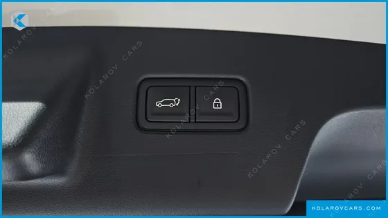 HYUNDAI PALISADE HEV 2.5T 4WD 9-SEATER
