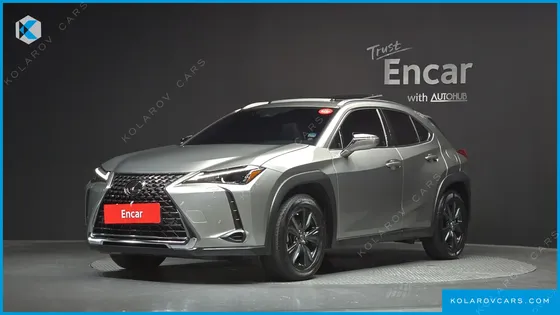 LEXUS UX 2.0 2WD