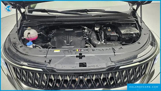 KIA CARNIVAL GASOLINE 9-SEATER NOBLESSE
