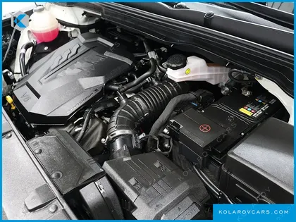 KIA CARNIVAL GASOLINE 9-SEATER HI-LIMOUSINE