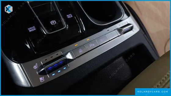 KIA CARNIVAL 9-SEATER NOBLESSE