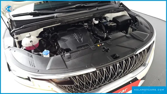 KIA CARNIVAL GASOLINE 9-SEATER LIMOUSINE(SPECIAL VEHICLE)