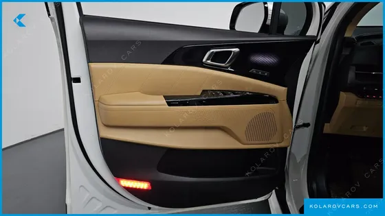 KIA CARNIVAL GASOLINE 9-SEATER LIMOUSINE(SPECIAL VEHICLE)