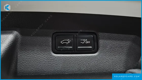 KIA CARNIVAL GASOLINE 9-SEATER LIMOUSINE(SPECIAL VEHICLE)