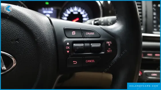 KIA CARNIVAL 9-SEATER NOBLESSE SPECIAL