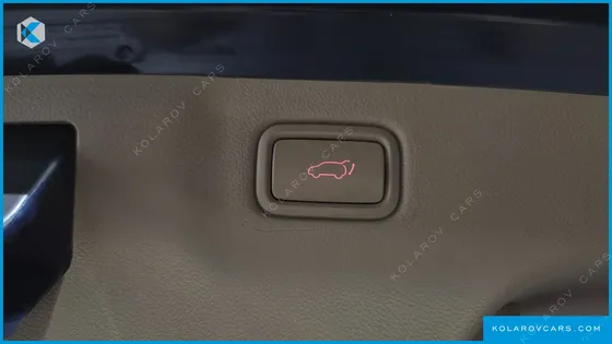 KIA CARNIVAL 9-SEATER NOBLESSE SPECIAL