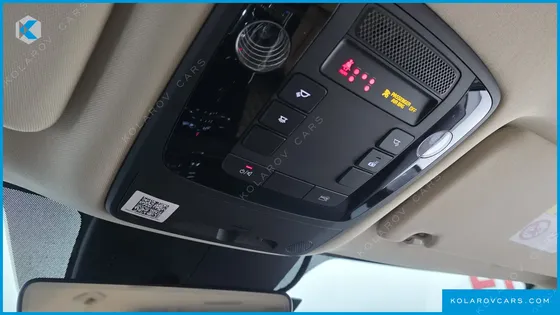 KIA CARNIVAL DIESEL 7-SEATER OUTDOOR