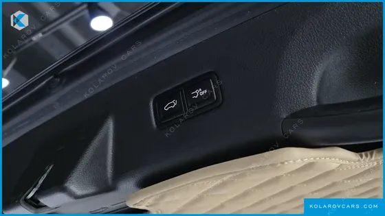 KIA CARNIVAL DIESEL 7-SEATER OUTDOOR
