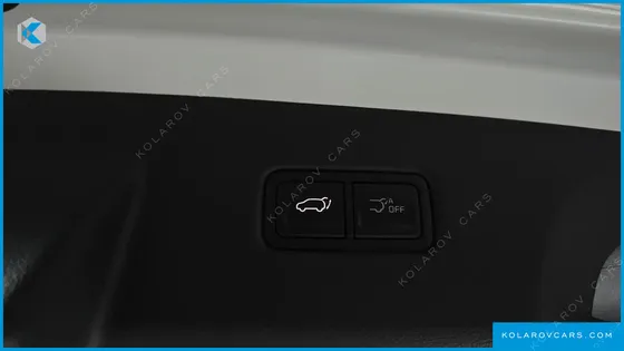 KIA CARNIVAL HEV 9 SEATER X LINE