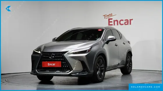 LEXUS NX PREMIUM