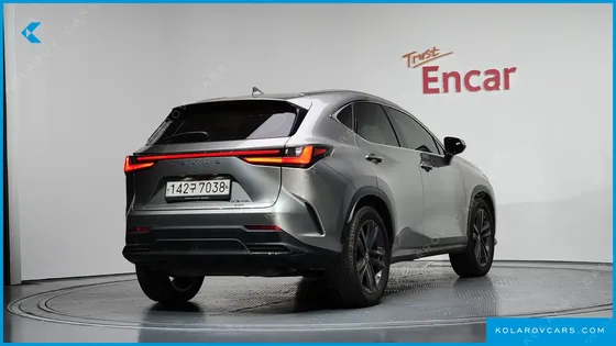 LEXUS NX PREMIUM