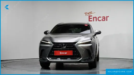 LEXUS NX PREMIUM