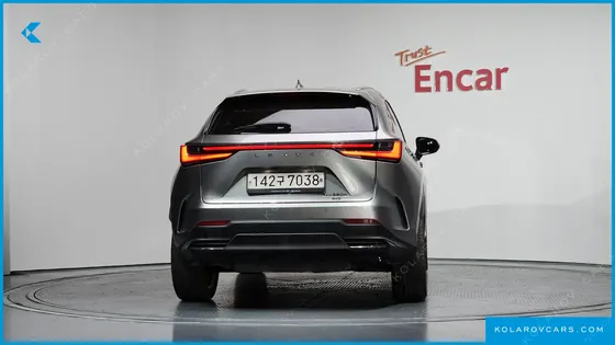 LEXUS NX PREMIUM