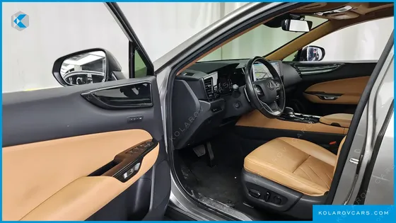 LEXUS NX PREMIUM