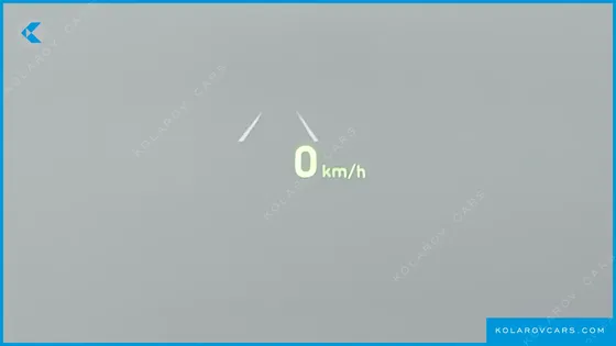 HYUNDAI SONATA 2.0 LPG(DISABLED PERSON)