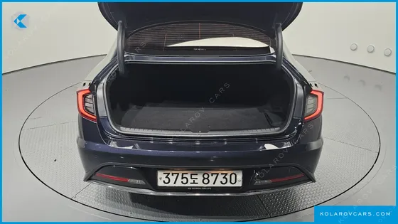 HYUNDAI SONATA 2.0 LPG(DISABLED PERSON)