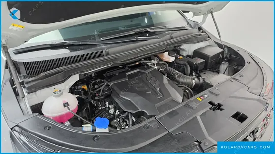 KIA CARNIVAL GASOLINE 7-SEATER GRAVITY