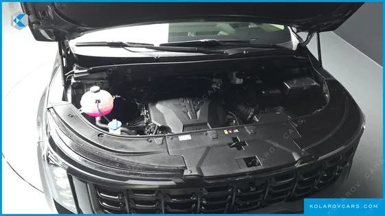 KIA CARNIVAL GASOLINE 7-SEATER GRAVITY
