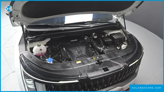 KIA CARNIVAL GASOLINE 9-SEATER PRESTIGE