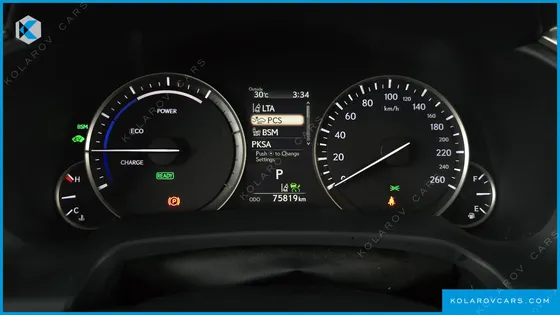 LEXUS RX LUXURY PLUS