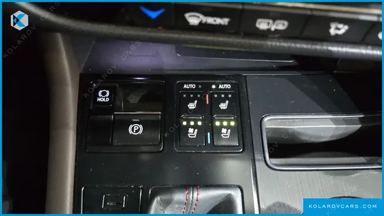 LEXUS RX LUXURY PLUS