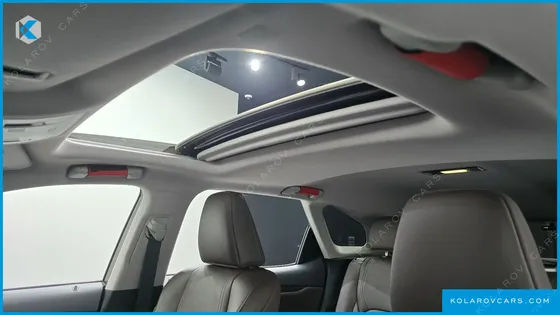 LEXUS RX LUXURY PLUS